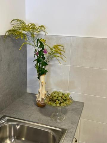 Apartment Concetta Cres Luaran gambar
